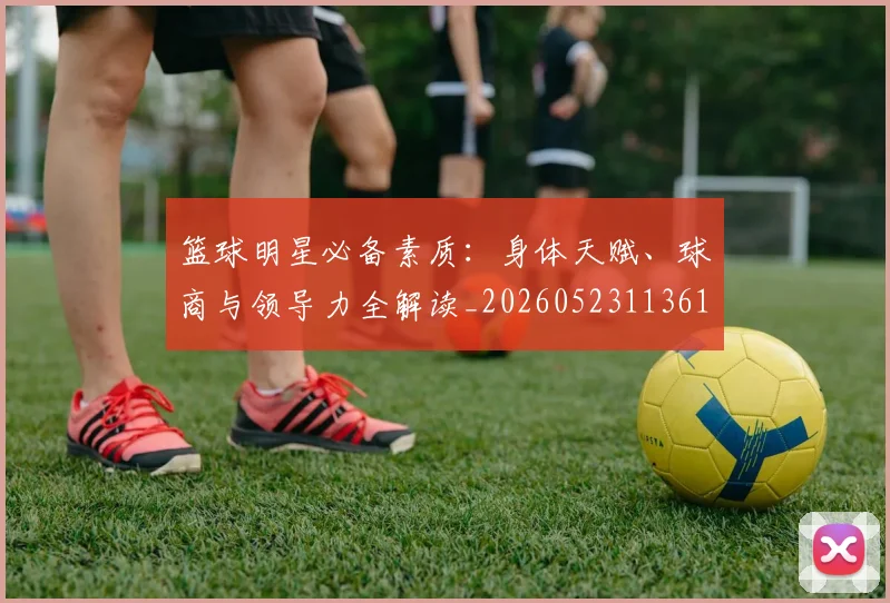 篮球明星必备素质:身体天赋、球商与领导力全解读_20260523113615_20260610000624