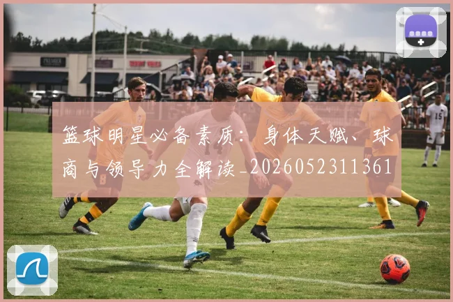 篮球明星必备素质:身体天赋、球商与领导力全解读_20260523113615_20260610000624